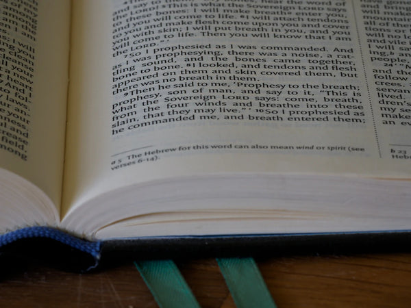 Fotolii din piele pentru momente de lectură elegante