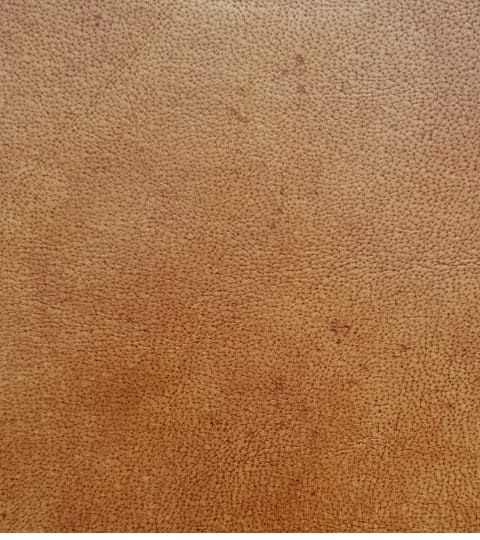 SCAUN DIN PIELE DE BIVOL FARA COTIERE OHIO - EScaune