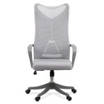SCAUN DE BIROU ERGONOMIC CU SUPORT LOMBAR SI SPATAR INALT OFF 634 - EScaune
