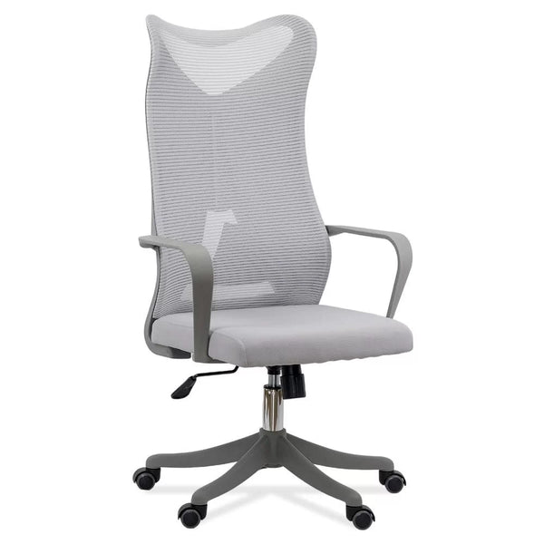 SCAUN DE BIROU ERGONOMIC CU SUPORT LOMBAR SI SPATAR INALT OFF 634 - EScaune