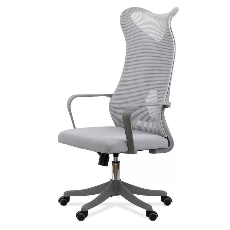 SCAUN DE BIROU ERGONOMIC CU SUPORT LOMBAR SI SPATAR INALT OFF 634 - EScaune