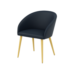 Scaun piele ALBASTRA | model IBIS