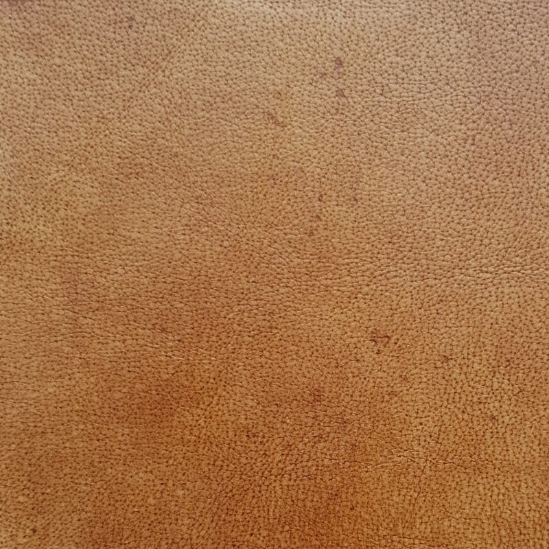 BANCA DINING DIN PIELE DE BIVOL DALMATIO IDEALO - EScaune