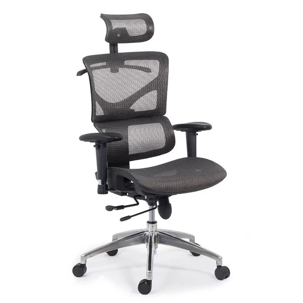Scaun ergonomic cu brate reglabile si sezut culisabil SYYT 9500 - EScaune