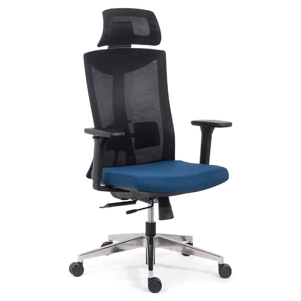 SCAUN ERGONOMIC MULTIFUNCTIONAL SYYT 9501 - EScaune