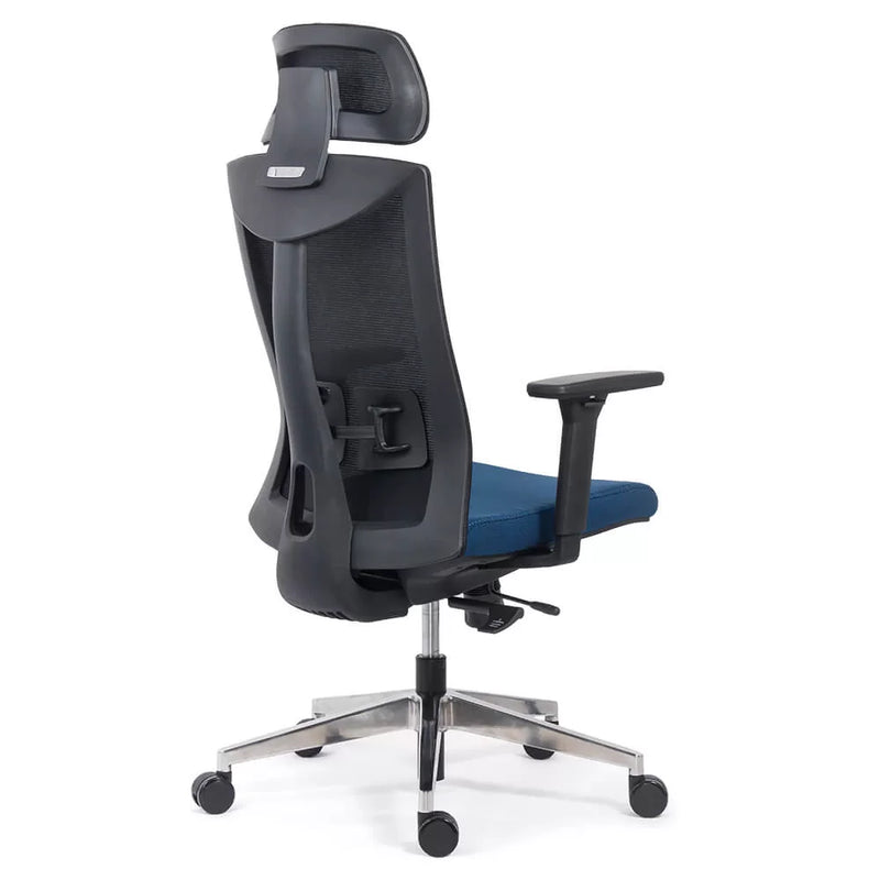 SCAUN ERGONOMIC MULTIFUNCTIONAL SYYT 9501 - EScaune