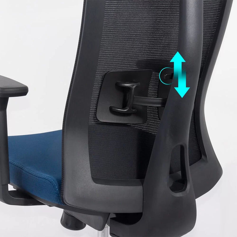 SCAUN ERGONOMIC MULTIFUNCTIONAL SYYT 9501 - EScaune