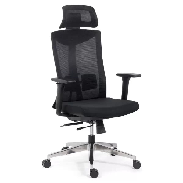 SCAUN ERGONOMIC MULTIFUNCTIONAL SYYT 9501 - EScaune