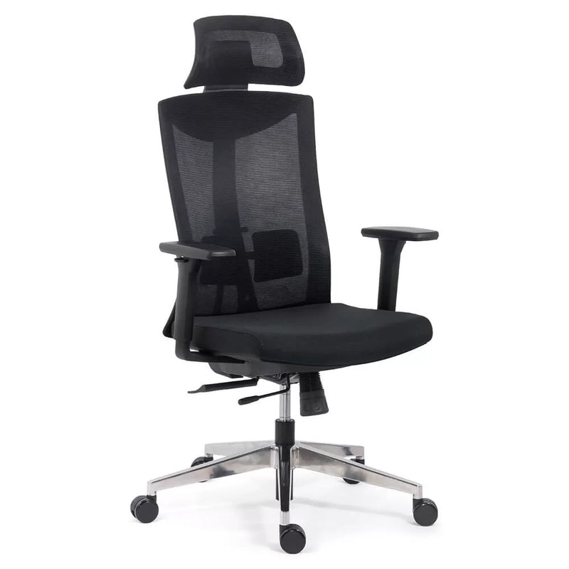 SCAUN ERGONOMIC MULTIFUNCTIONAL SYYT 9501 - EScaune