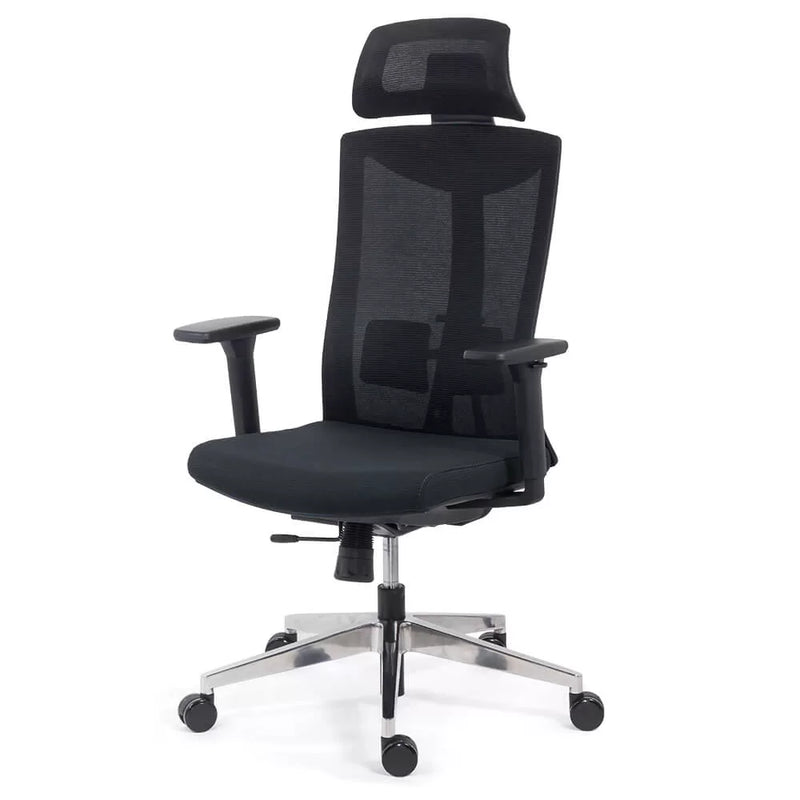SCAUN ERGONOMIC MULTIFUNCTIONAL SYYT 9501 - EScaune