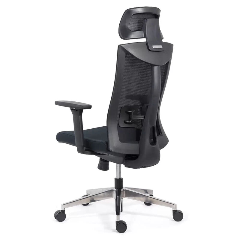 SCAUN ERGONOMIC MULTIFUNCTIONAL SYYT 9501 - EScaune