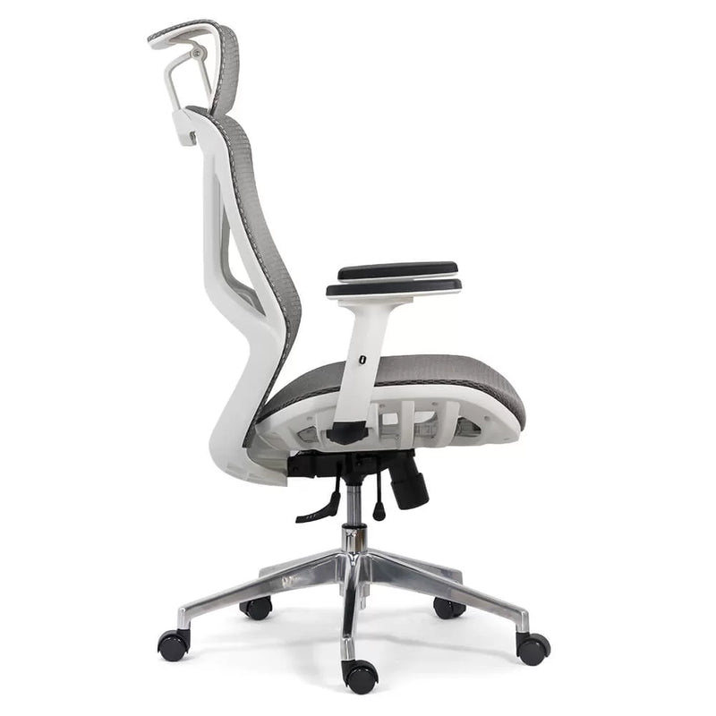 SCAUN ERGONOMIC MULTIFUNCTIONAL SYYT 9503 - EScaune