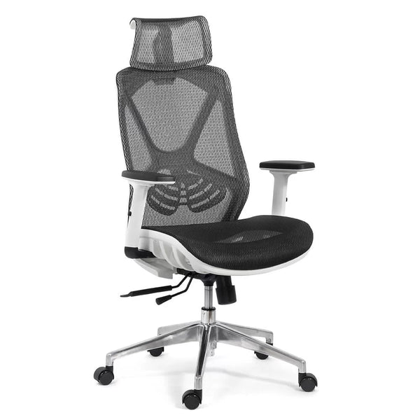 SCAUN ERGONOMIC MULTIFUNCTIONAL SYYT 9503 - EScaune