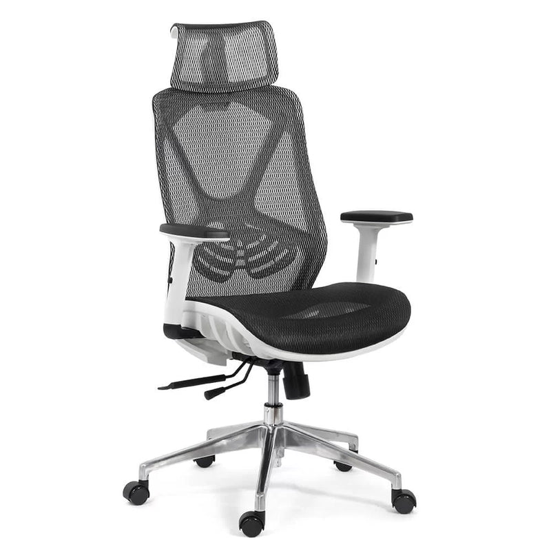 SCAUN ERGONOMIC MULTIFUNCTIONAL SYYT 9503 - EScaune