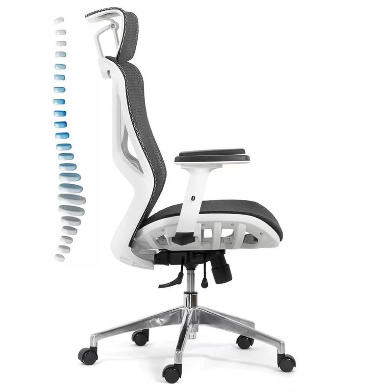 SCAUN ERGONOMIC MULTIFUNCTIONAL SYYT 9503 - EScaune