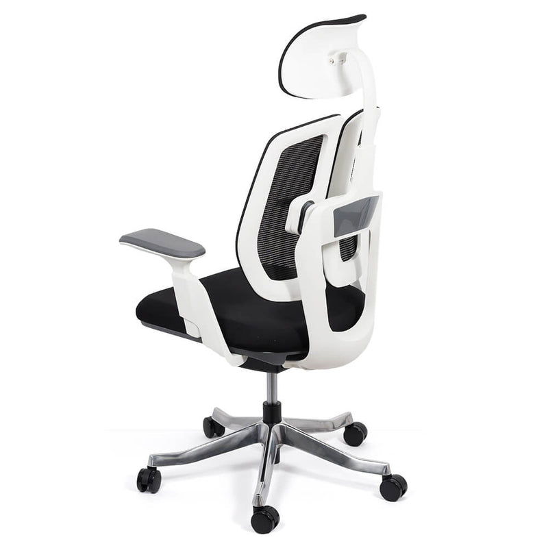 SCAUN ERGONOMIC MULTIFUNCTIONAL SYYT 9505 - EScaune