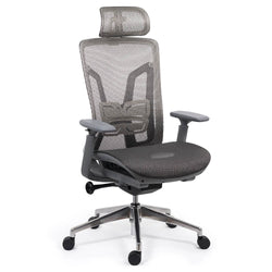 SCAUN ERGONOMIC MULTIFUNCTIONAL SYYT 9506 - EScaune
