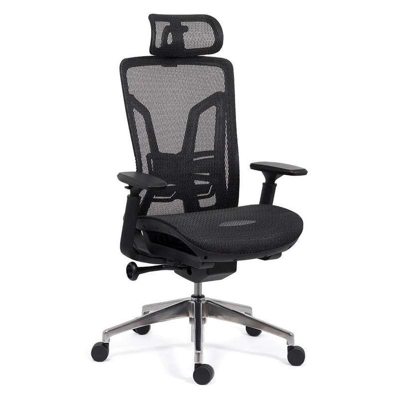 SCAUN ERGONOMIC MULTIFUNCTIONAL SYYT 9506 - EScaune
