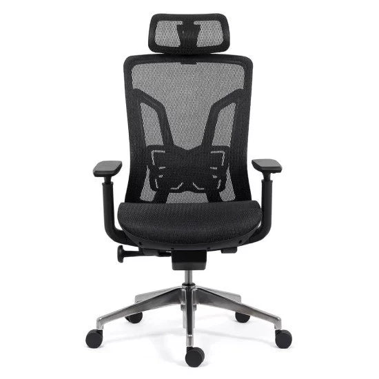 SCAUN ERGONOMIC MULTIFUNCTIONAL SYYT 9506 - EScaune