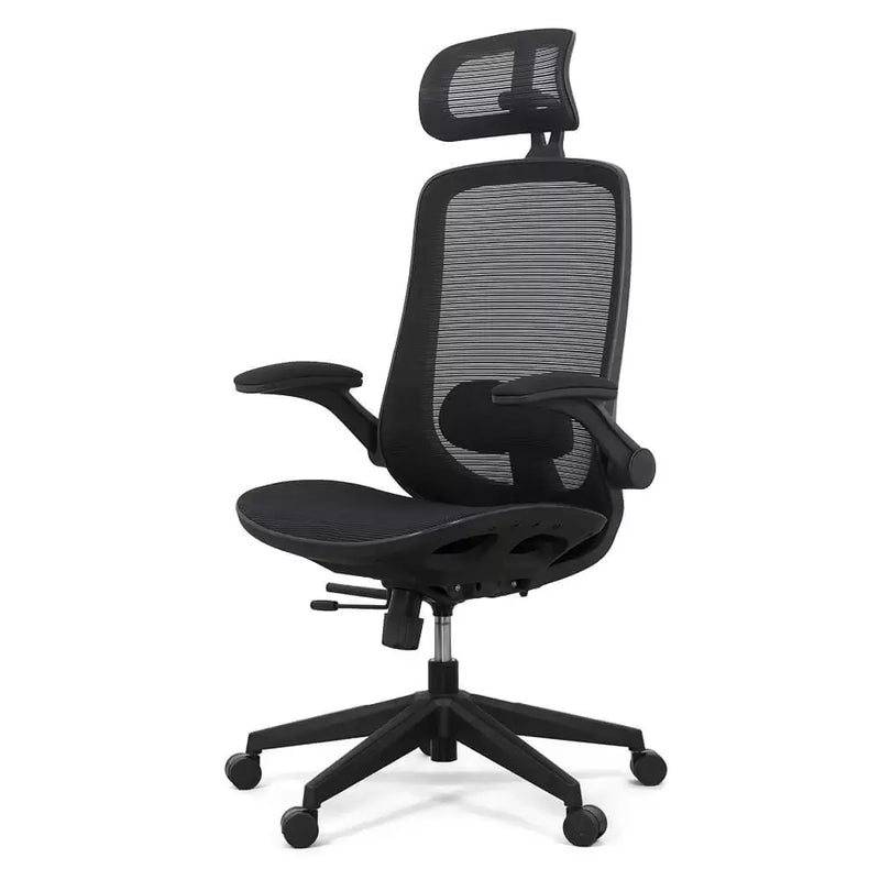 SCAUN ERGONOMIC MULTIFUNCTIONAL CU BRATE RABATABILE SYYT 9509 - EScaune