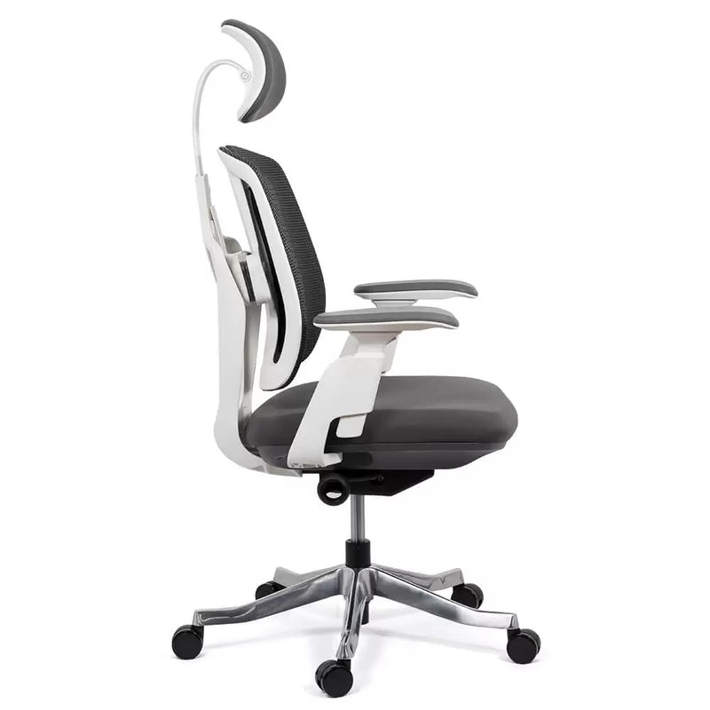 SCAUN ERGONOMIC MULTIFUNCTIONAL SYYT 9505 - EScaune