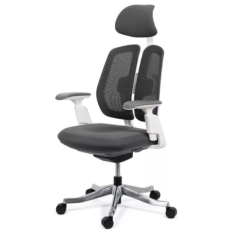 SCAUN ERGONOMIC MULTIFUNCTIONAL SYYT 9505 - EScaune